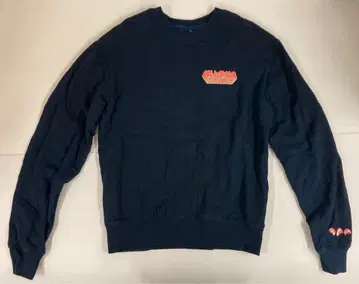 새로운 학교의 리더 SEISHUN SHURAI SWEAT(NAVY) S