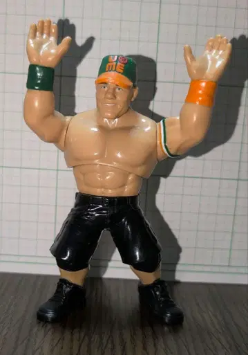 WWE 피규어 존 시나
