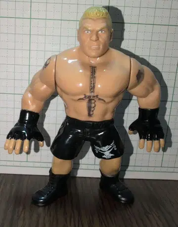WWE 피규어 블록 레스너