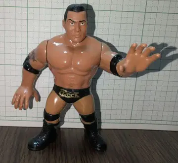 WWE 피규어 더 락