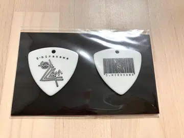 히라사와 신 경관 순환 카페 오리지널 피크