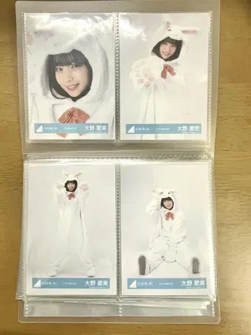 히나타자카46 오노 아이미 브로마이드 동물 인형옷 컴프