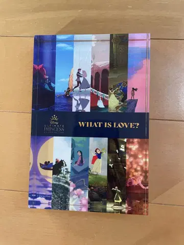 what is love 디즈니 아크릴 스탠드