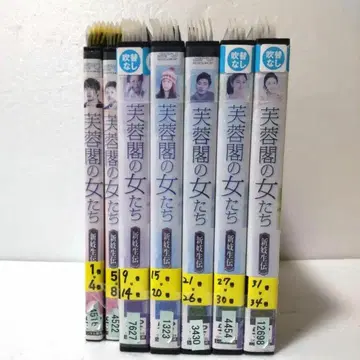 한류  부용각의 여자들 신기생전 1~34권 전권 세트 DVD