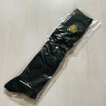 96 고양이 양말 하이삭스 가수