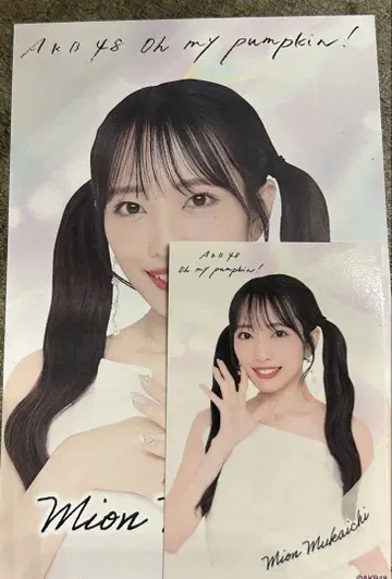 AKB48 스페셜 복권 무카이 미네