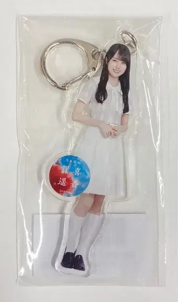 노기자카46 치트데이 카키 하야카 개별 전신 아크릴 키링