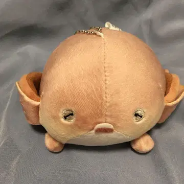 메이냐 봉제 인형