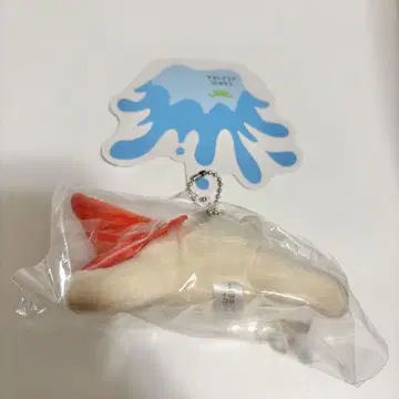 텐노지 동물원 호우짱 화이트 곰 봉제 인형 공 체인 포함