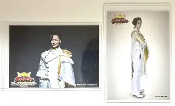 제라미 브러쉬 / 브로마이드