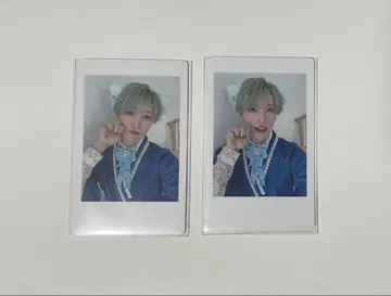 팬더 드래곤 타이 가 하피카