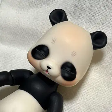 COCORIANG Poi 팬더 Closeface