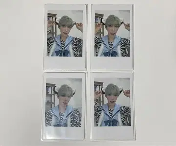 팬더 드래곤 타이 가 하피카