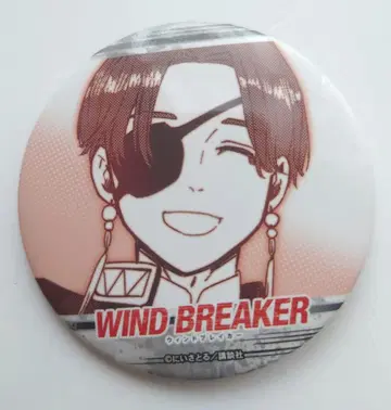 WINDBREAKER 소방슌히 윈드브레이커 당첨 럭키 캔뱃지