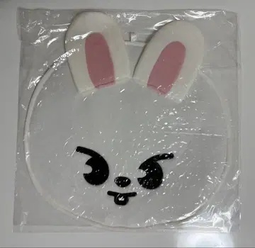 straykids 리노 Leebit 부채 케이스