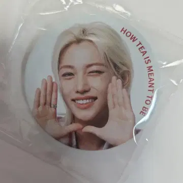 한국 곤차 필릭스 캔 배치
