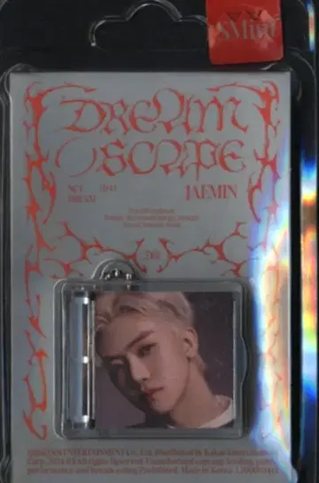 NCT DREAM SMini 버전. JAEMIN DREAM( )SCAPE