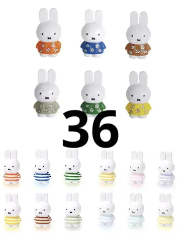 미피 테트라피비츠 꽃무늬 보더 총 36개