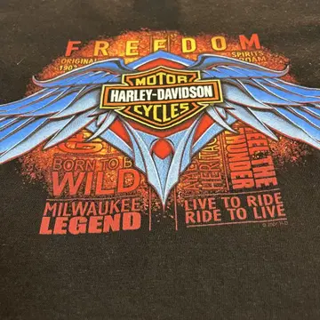 할리데이비슨 Freedom 할리 티셔츠 2XL 00s
