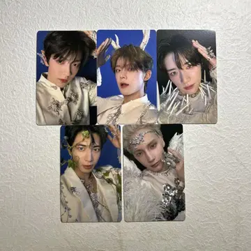 txt Together 5 형태 Weverse 혜택