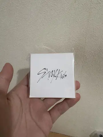 스키즈 Stray Kids SKZ TOY WORLD 이어 커프 1540