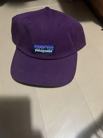 파타고니아 patagonia p-6 Label Trad Cap