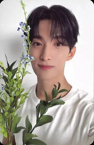 세븐틴 DK 17 IS RIGHT HERE DEAR