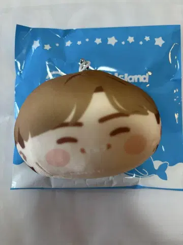 스시로 BTS 인더솜 오테다마 봉제 인형 테테 V