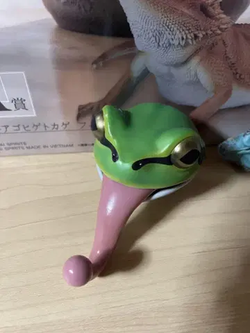 제일복권 파충류 및 양서류 D상 헤드 마그넷 일본 청개구리