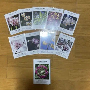 기타와키 에이지의 생일 꽃 엽서