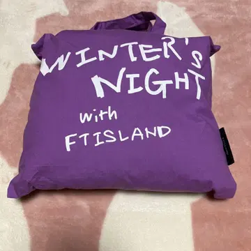 FTISLAND 굿즈 룸슈즈