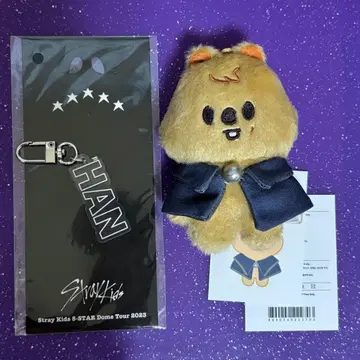 SKZOO 한 한쿼카 10cm 봉제 인형 네임 키링