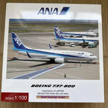 Pacmin ANA 보잉 737-800 1:100 모델