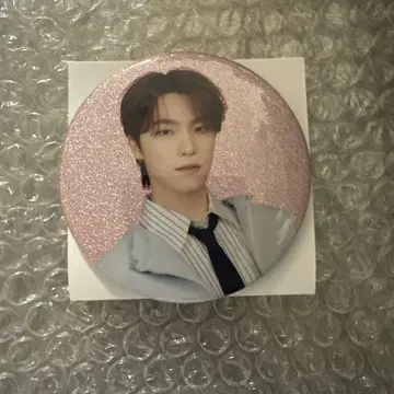 SEVENTEEN HOLIDAY 캔뱃지 DINO