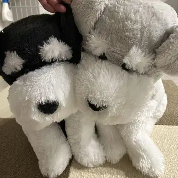 슈나우저 큰 봉제 인형 2개 새상품