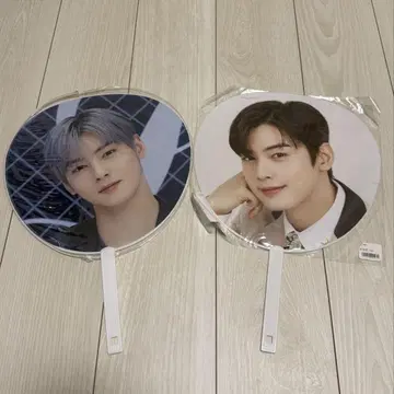 ASTRO 차우누 부채