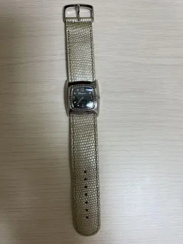 페라가모 페라가모 손목시계 다이아몬드 & 쉘 여성용