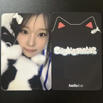 saymyname HELLOLIVE 영통 혜택 트레이딩 카드 도히