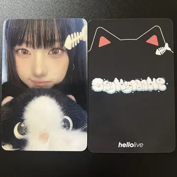 saymyname HELLOLIVE 영통 혜택 트레이딩 카드 주니