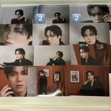 고이즈미 코사키 22번째 생일 브로마이드 묶음 판매 22장