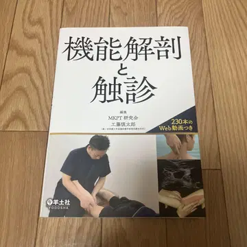 기능 해부 및 촉진
