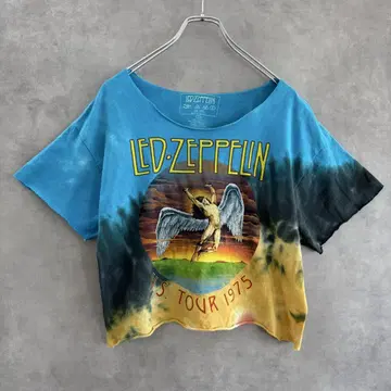 Led Zeppelin 레드 제플린 짧은 티셔츠 S 여성용 중고 의류
