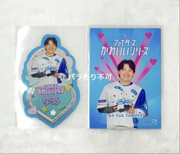 파이터즈 타미야 유스케 귀여운 시리즈 키티 트레이딩 카드 스티커