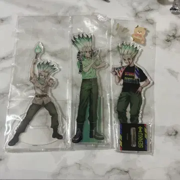 Dr.STONE 닥터 스톤 이시카미 치쿠