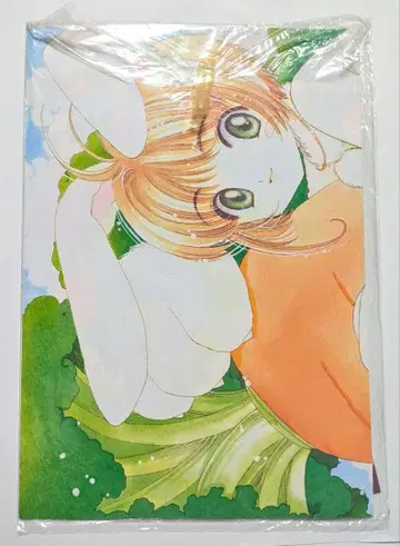 나카요시 1998년 2월호 부록 CLAMP 카드캡터 사쿠라