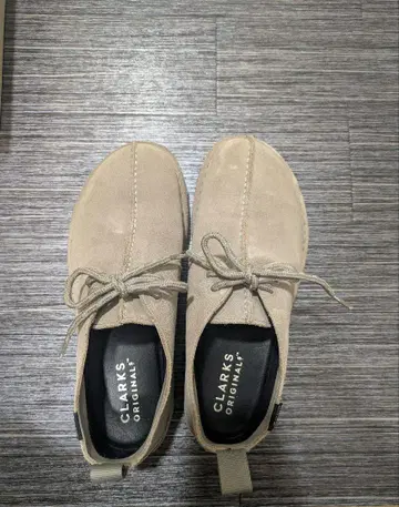 클락스 데저트 트렉 GTX