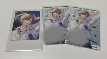 카노 니지산지 폴라로이드 요코하마