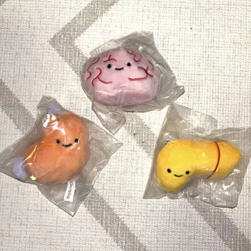 니코리노 건강한 몸 봉제 인형 3세트 키링