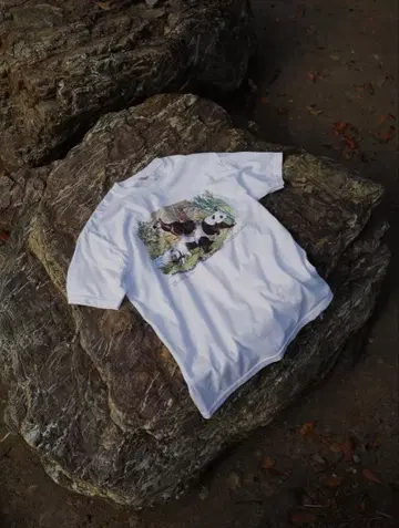 niceness kakinoha 별주 CONRAD 감잎