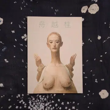 후나코시 케이 내 안에 있는 샘 도록